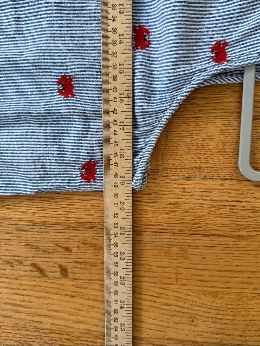 crown & ivy Blue and White Striped Mini Dress with Red Floral Embroidery - Picture 5 of 8